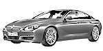 BMW F06 P1E30 Fault Code